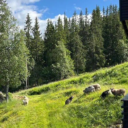 Apartment Luxury Norwegian Mountain View - Balcony